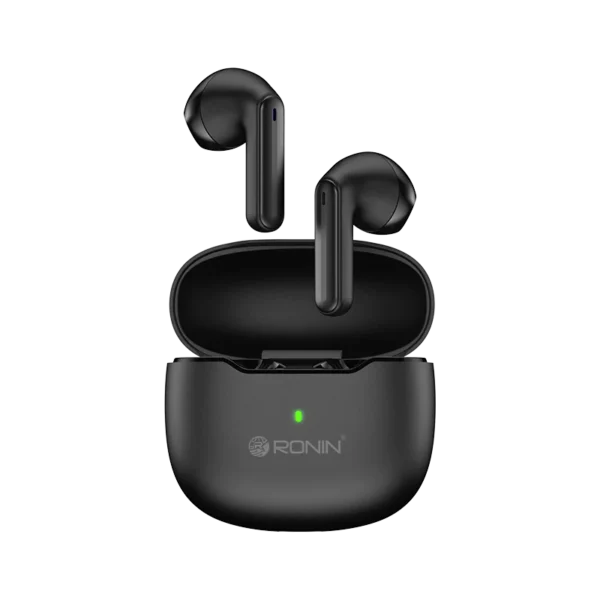 R-175 Earbuds-2 R-175 Earbuds-2